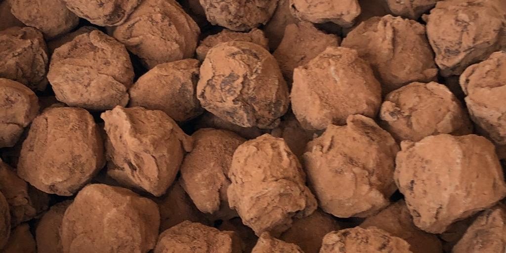 Truffes-Nao-1024x512.jpg